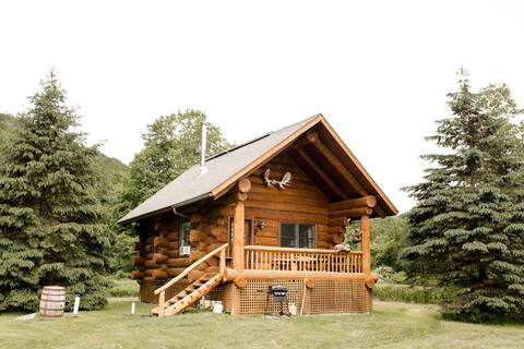 “Delaware River Hideaway”Log Cabin on 10 acres