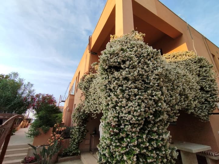 Villa Giulia All'addaura - Palermo