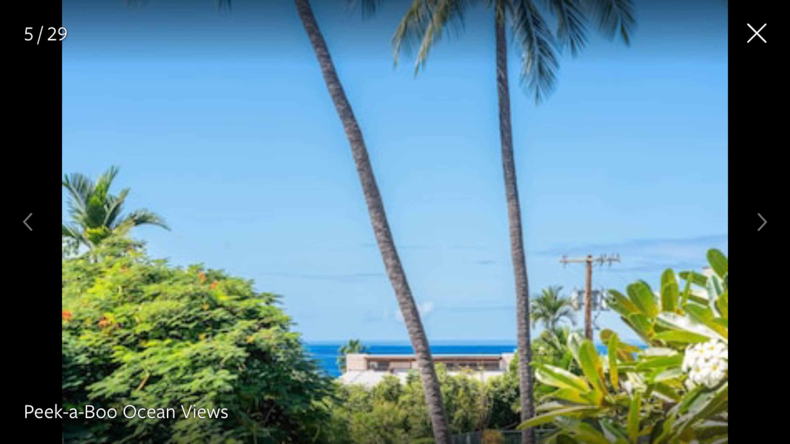 Condo in Kailua-Kona · ★4.99 · 2 bedrooms · 4 beds · 2 private baths - Image 18