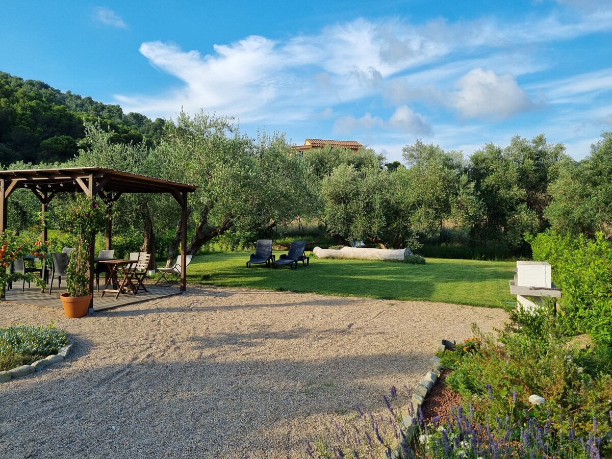 A well-maintained garden area features olive trees and a variety of green plants. Comfortable lounge chairs and a gazebo provide shaded seating options. A gravel pathway leads through the space, highlighting the natural landscape and the distant view of the surrounding hills.
