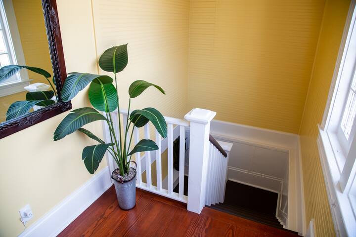 Spacious 4 BR House in Uptown Historic Area gallery image 3