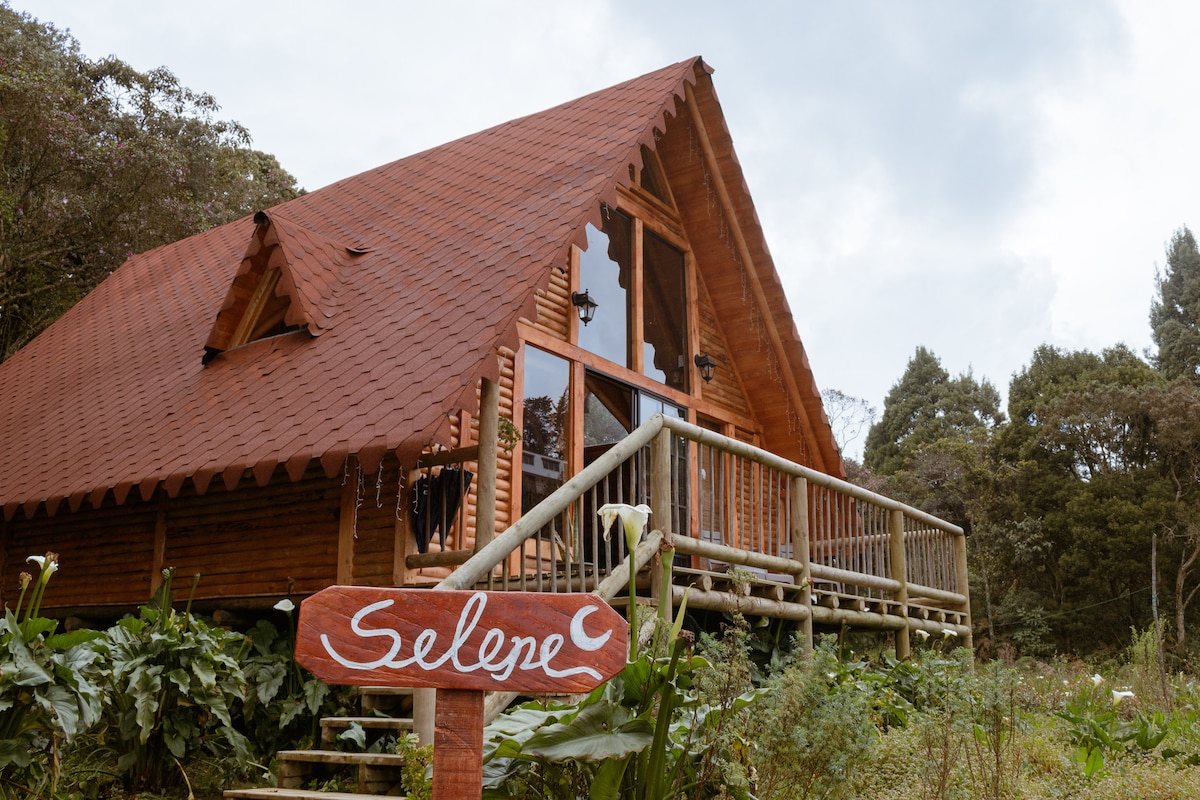 A rustic wooden chalet is framed by lush greenery, featuring a distinctive triangular roof. The entrance is highlighted by a welcoming wooden sign that reads 'Selepe.' Large glass windows reflect the surrounding nature, enhancing the chalet's connection to its environment.