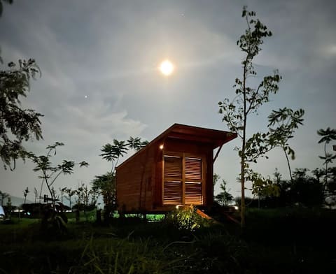 Cozy Cabin #4 - Farm, Lake, Pool, Firepit!