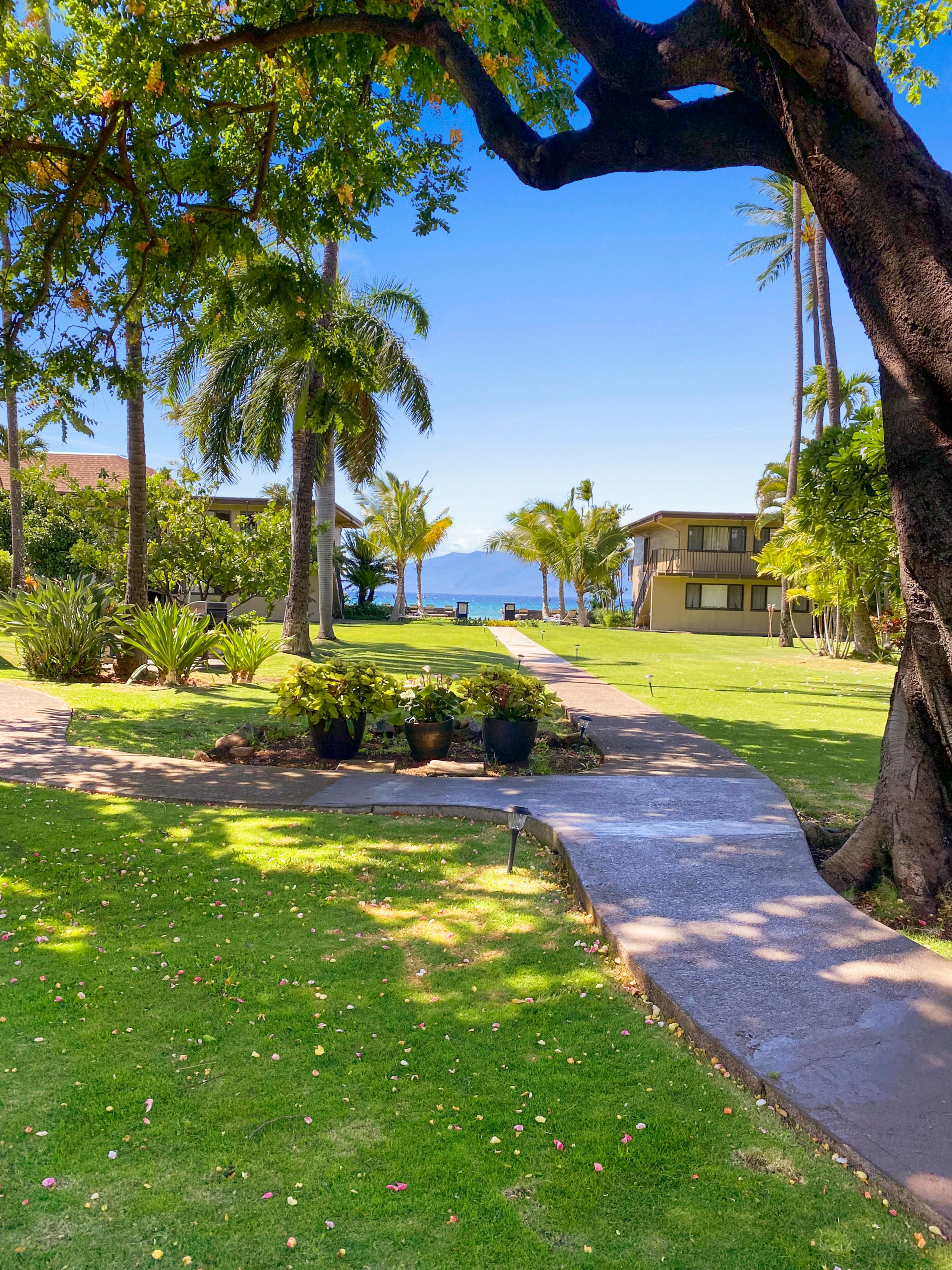 Condo in Lahaina · ★4.67 · 1 bedroom · 2 beds · 1 bath - Image 55