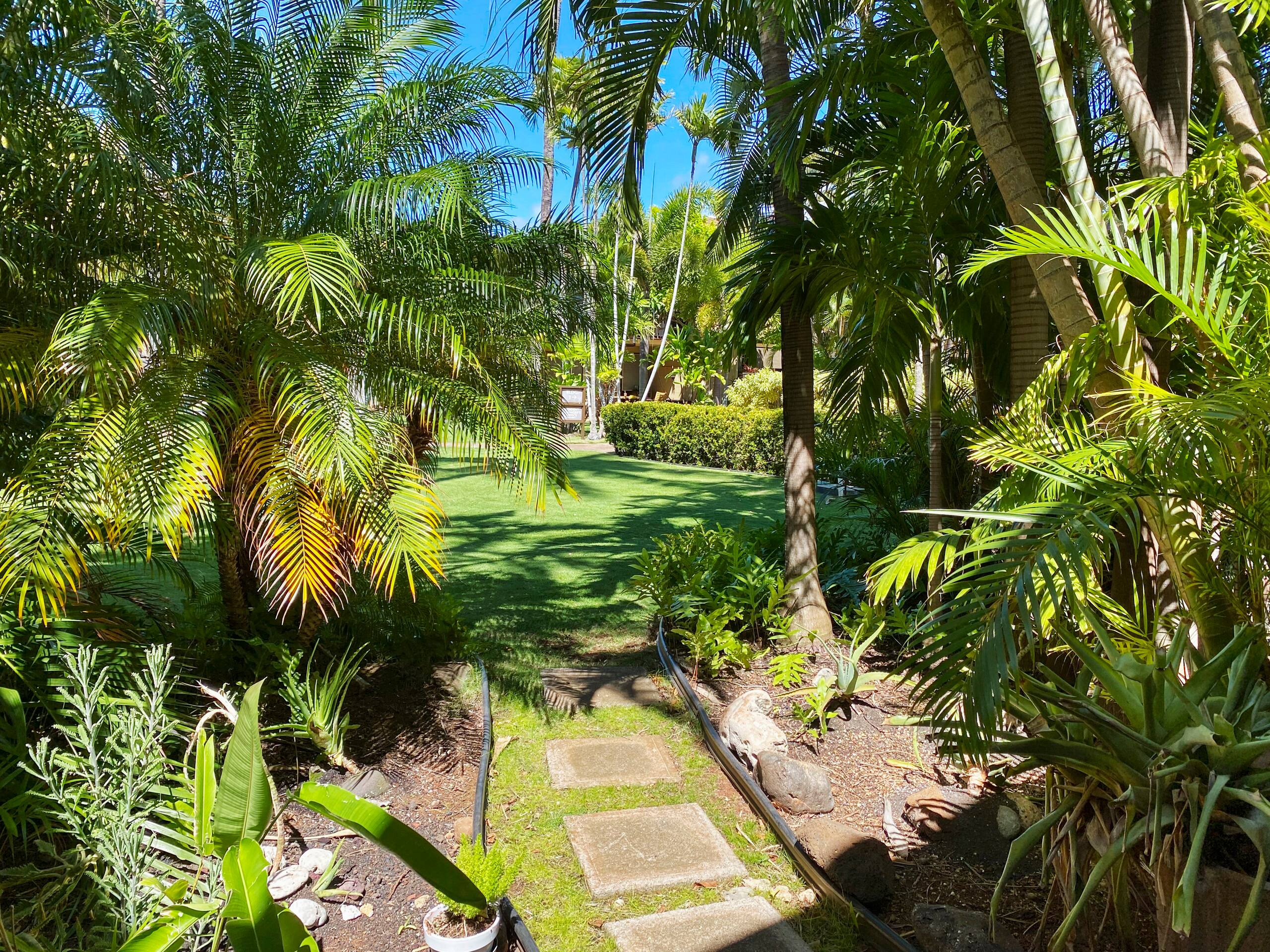 Condo in Lahaina · ★4.67 · 1 bedroom · 2 beds · 1 bath - Image 81