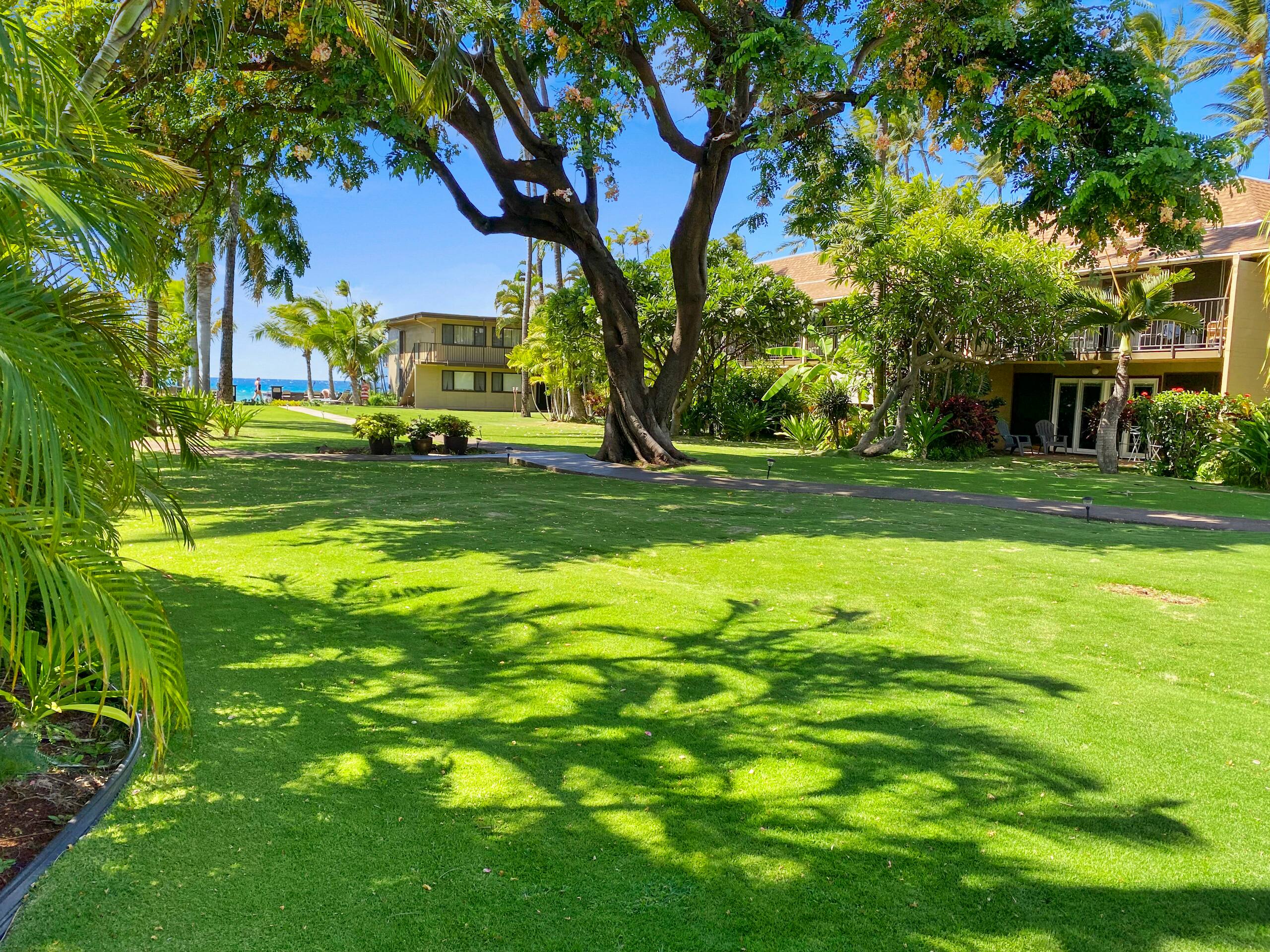 Condo in Lahaina · ★4.67 · 1 bedroom · 2 beds · 1 bath - Image 56
