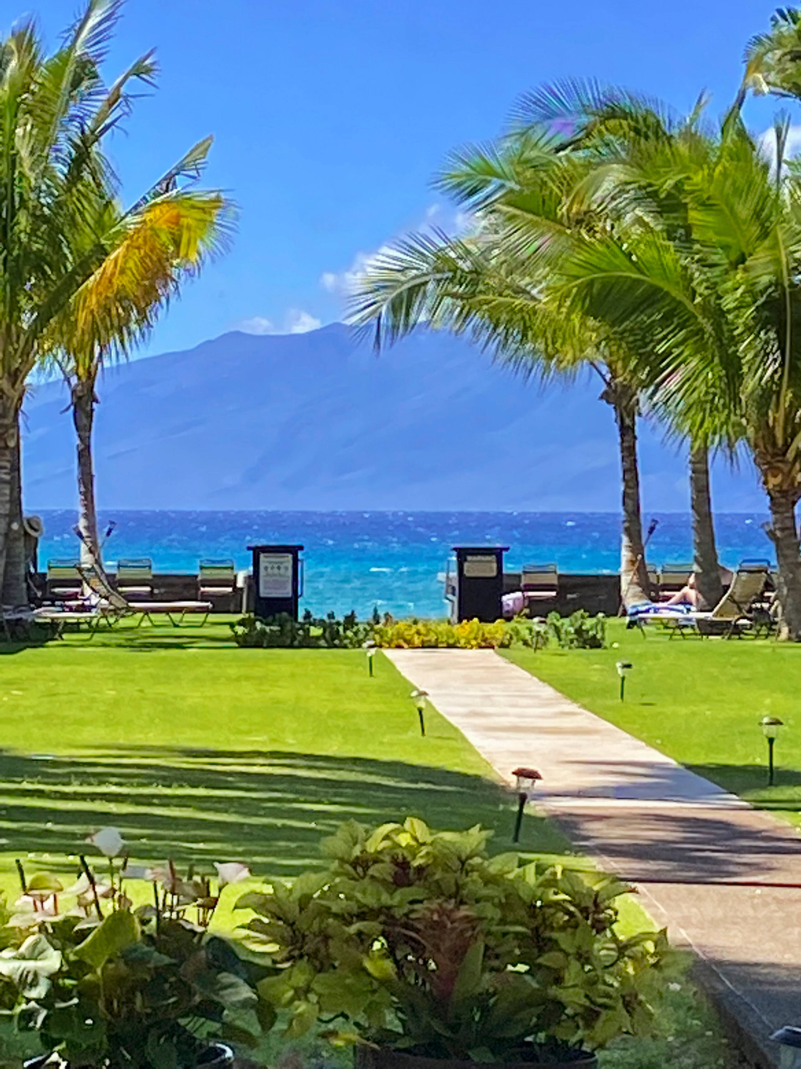 Condo in Lahaina · ★4.67 · 1 bedroom · 2 beds · 1 bath - Image 52