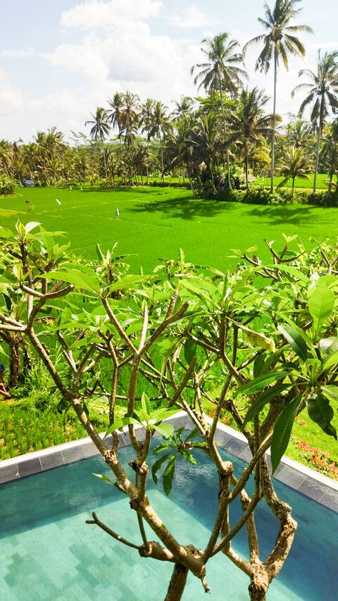 Umah Adenium Ubud