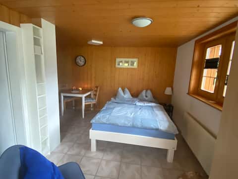 Nice studio room. Small but nice