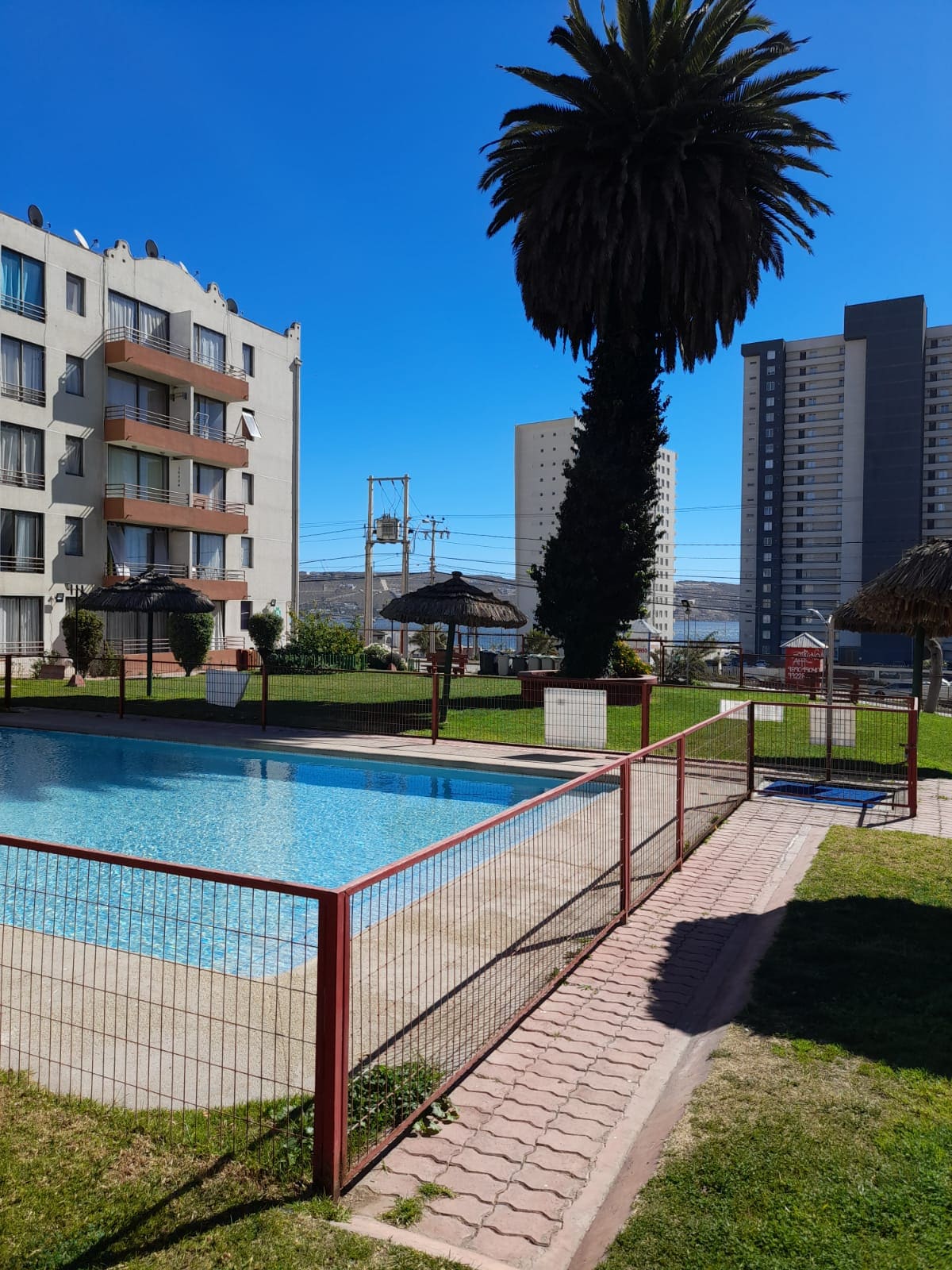 A swimming pool is surrounded by manicured grass and is bordered by a fence. Palm trees and shaded seating areas are visible nearby, along with several residential buildings in the background against a clear blue sky.