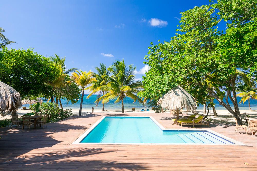 A spacious pool is framed by wooden decking and tropical foliage. Lush palm trees sway gently in the breeze, and a thatched-roof palapa is visible nearby. The ocean is seen in the background, enhancing the feeling of a serene beachfront setting.