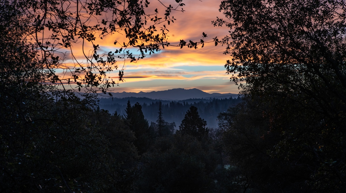 A serene view is captured through the branches of trees, revealing a vibrant sunset sky painted in shades of orange, pink, and blue. The silhouette of distant mountains complements the foreground of dark foliage, creating a peaceful natural landscape.