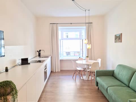 Very large modern apartment in the center+parking
