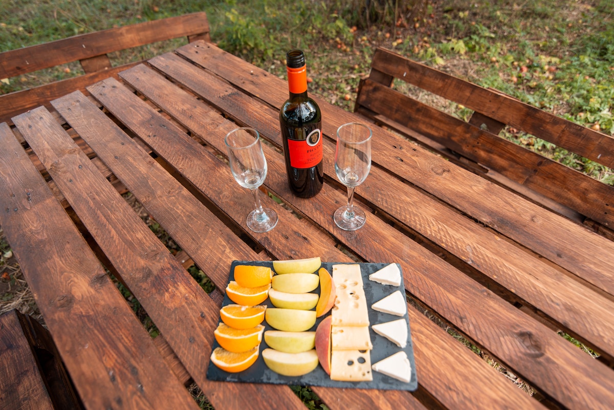 A wooden table is set outdoors, featuring a selection of sliced fruits including oranges, pears, and apples. A cheese platter displays various cheeses, while a bottle of red wine sits alongside two empty glasses, ready for a relaxed gathering.