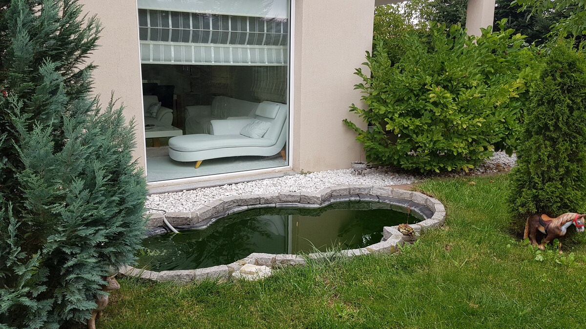 A serene outdoor area features a small pond bordered by stones, surrounded by green landscaping. The reflection of a modern lounge area with light-colored furnishings is visible through a large window, enhancing the connection between indoors and outdoors.