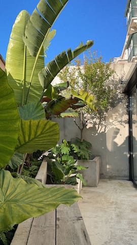 Casa Balsa (balsastudio) Patio, Fireplace & Cinema