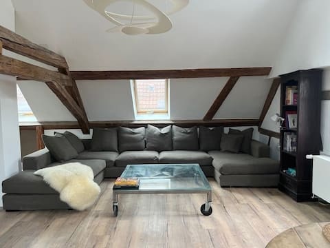 Fegersheim: Large flat in an Alsatian house.