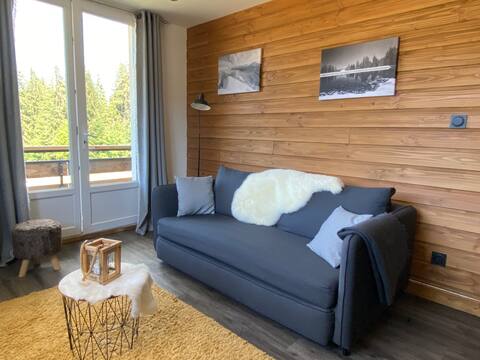 Charming flat in the heart of mountains
