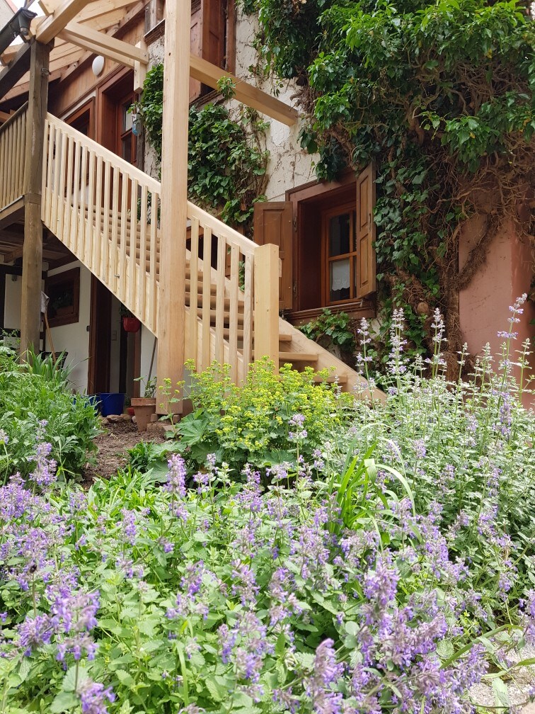 A wooden staircase leads to the upper level of the house, surrounded by blooming purple flowers and lush greenery. Vines climb the building's exterior, while windows with wooden shutters provide an inviting touch to the rustic charm of the space.