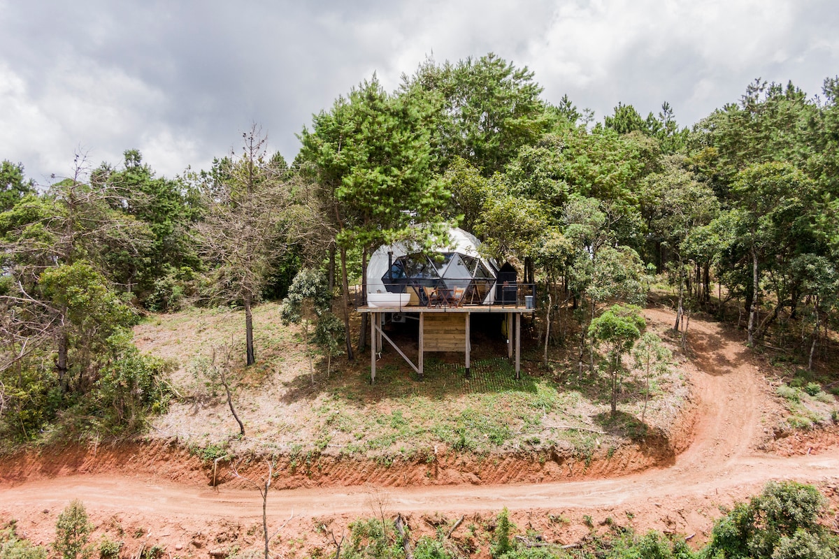 A geodesic dome cabin is nestled among trees on a hillside, elevated on wooden stilts. A pathway can be seen leading up to the entrance, surrounded by lush greenery. The natural landscape features a mixture of plants and earth tones, creating a secluded atmosphere.
