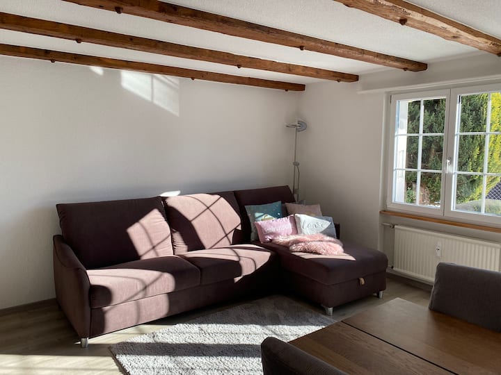 Appartement Tout Confort Avec Terrasse - Zweisimmen