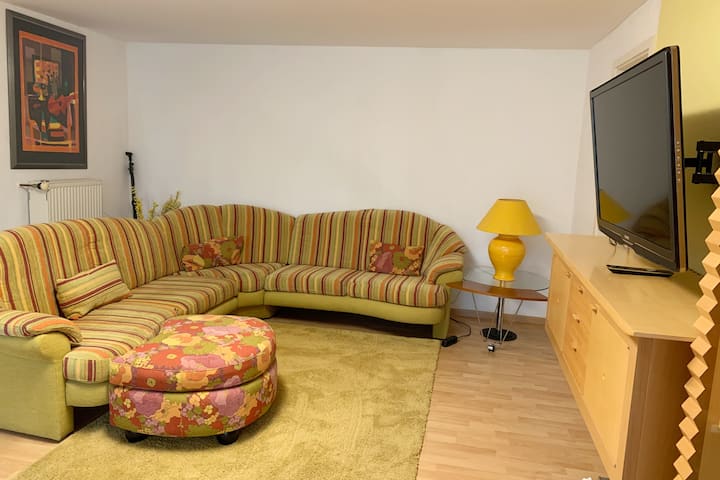 Schöne 2 Zimmerwohnung Mit Neuer Küche - Ingelheim am Rhein