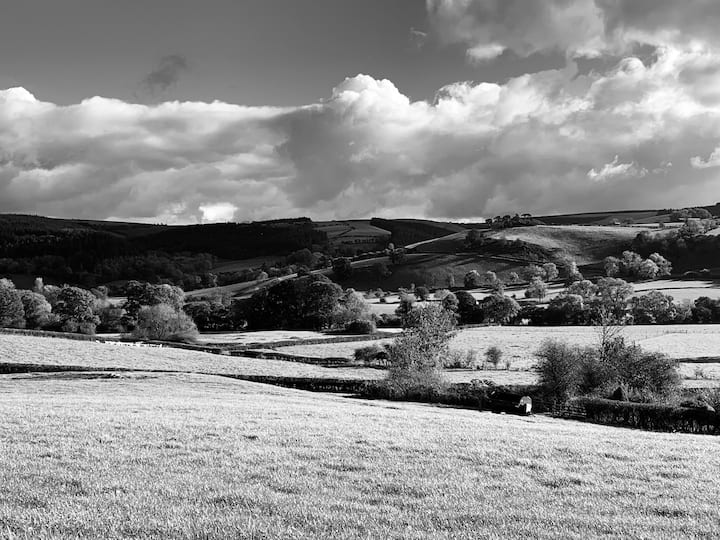 Countryside Pod at Greenacre photo 2