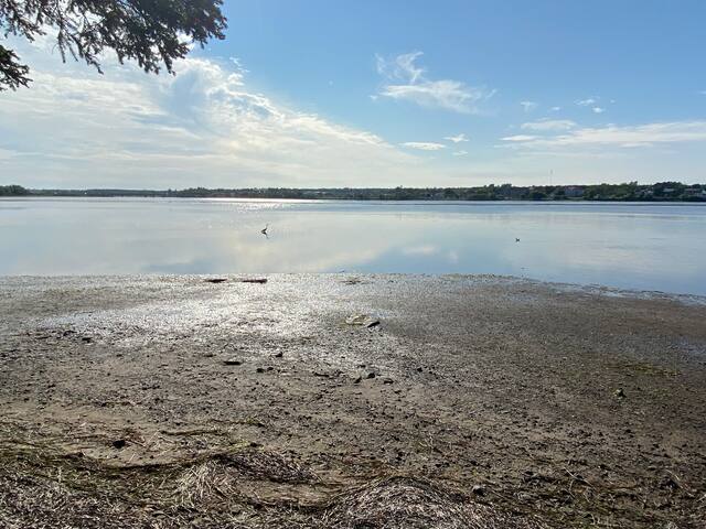 Relaxing Waterfront 2 Bed Cottage gallery image 4