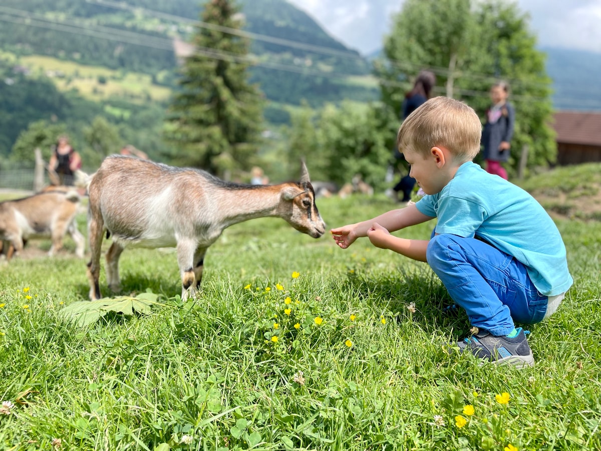 A child is crouched on the grass, gently reaching out toward a goat. The background features a green landscape with hills and trees under a clear sky. Clusters of yellow flowers are visible in the grass, contributing to the natural setting.