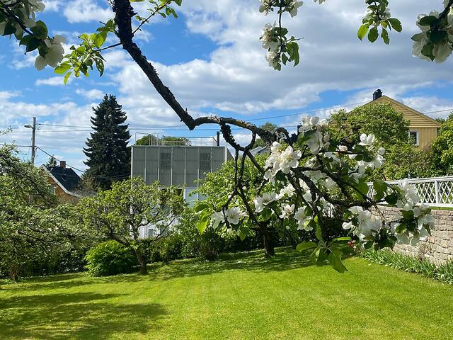 Great architecture in a peaceful, central location gallery image 2