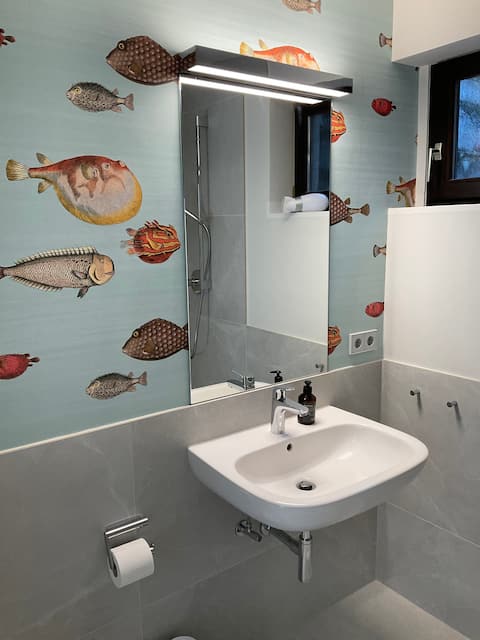 Beautiful newly renovated apartment in the Dreisamtal.