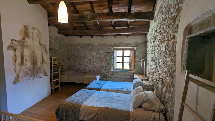 Room 6 :Triple room - three singles