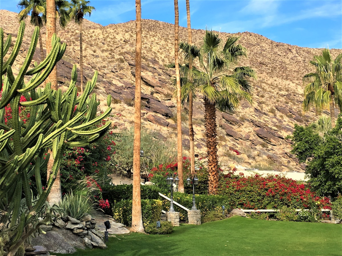 Desert landscaping is featured prominently, showcasing tall palm trees and vibrant flowering bushes. The backdrop reveals a rugged, rocky hillside against a clear blue sky, creating a serene outdoor environment.
