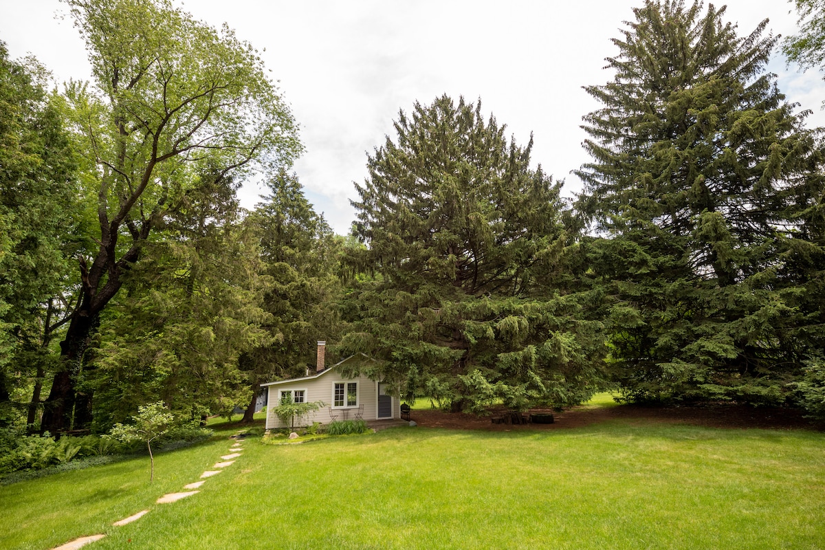A quaint cottage is nestled among towering pine trees on a spacious, lush lawn. A stone pathway leads to the entrance, framed by a serene natural setting filled with greenery and shaded by the surrounding trees.