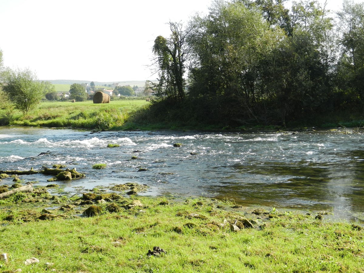 A serene river flows through a lush green landscape, with sunlight reflecting off the water's surface. Trees line the riverbank, while distant fields and a hay bale are visible in the background, enhancing the natural setting.
