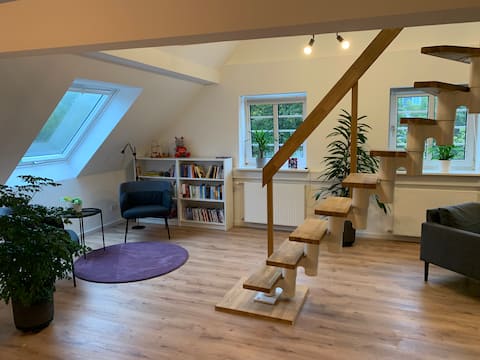 Modern apartment in the heart of Olpe
