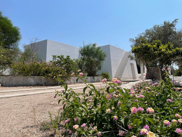 Salento Charming Houses