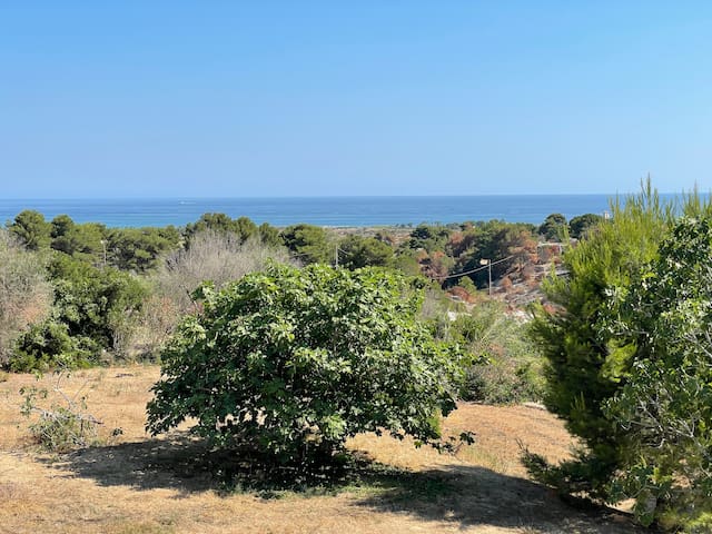 Salento Charming Houses gallery image 4