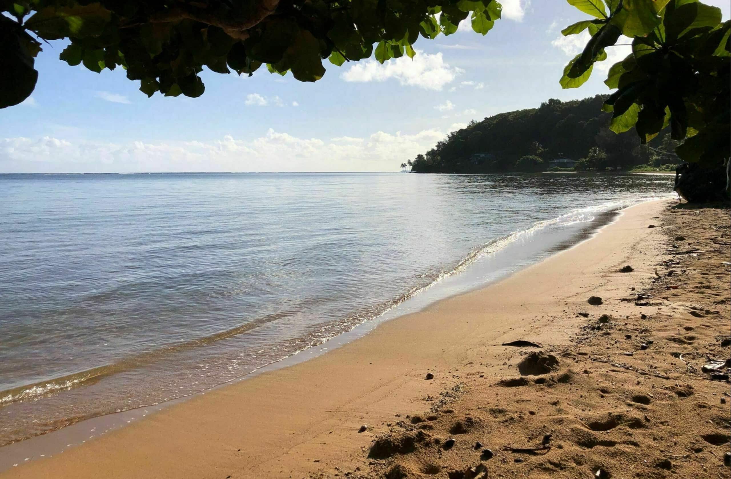 Condo in Princeville · ★4.89 · 2 bedrooms · 2 beds · 2 baths - Image 38