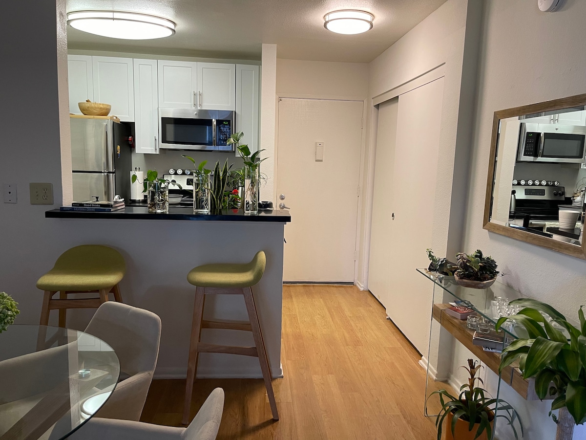A modern kitchen area features white cabinetry and stainless steel appliances. A tall bar with two green stools overlooks the dining space, which includes a round glass table. Natural light brightens the space, with a mirror reflecting decorative plants on a nearby shelf.