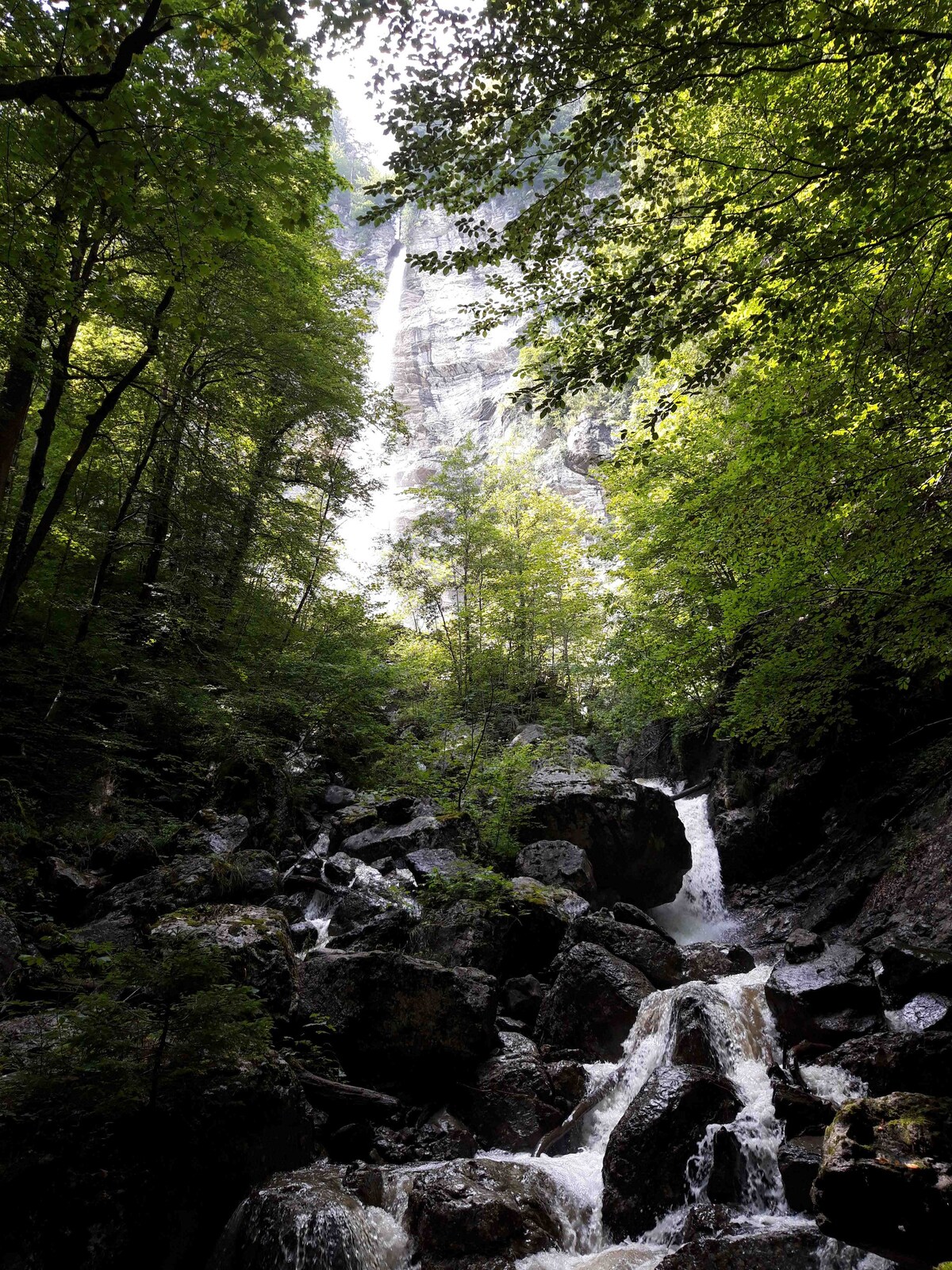 A scenic view depicts a waterfall cascading down a rocky cliff, surrounded by lush green trees. The foreground features a mix of rocks and flowing water, creating a serene natural environment. The light filters through the foliage, enhancing the setting's tranquil ambiance.