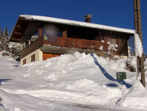 Friendly chalet with fireplace (wood provided )