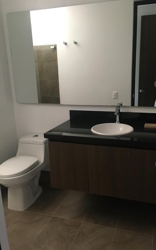 A modern bathroom features a sleek black countertop with a circular sink and wooden cabinetry below. A large mirror above the sink enhances the space. A toilet is positioned to the left, and a glass-enclosed shower area is visible in the background.