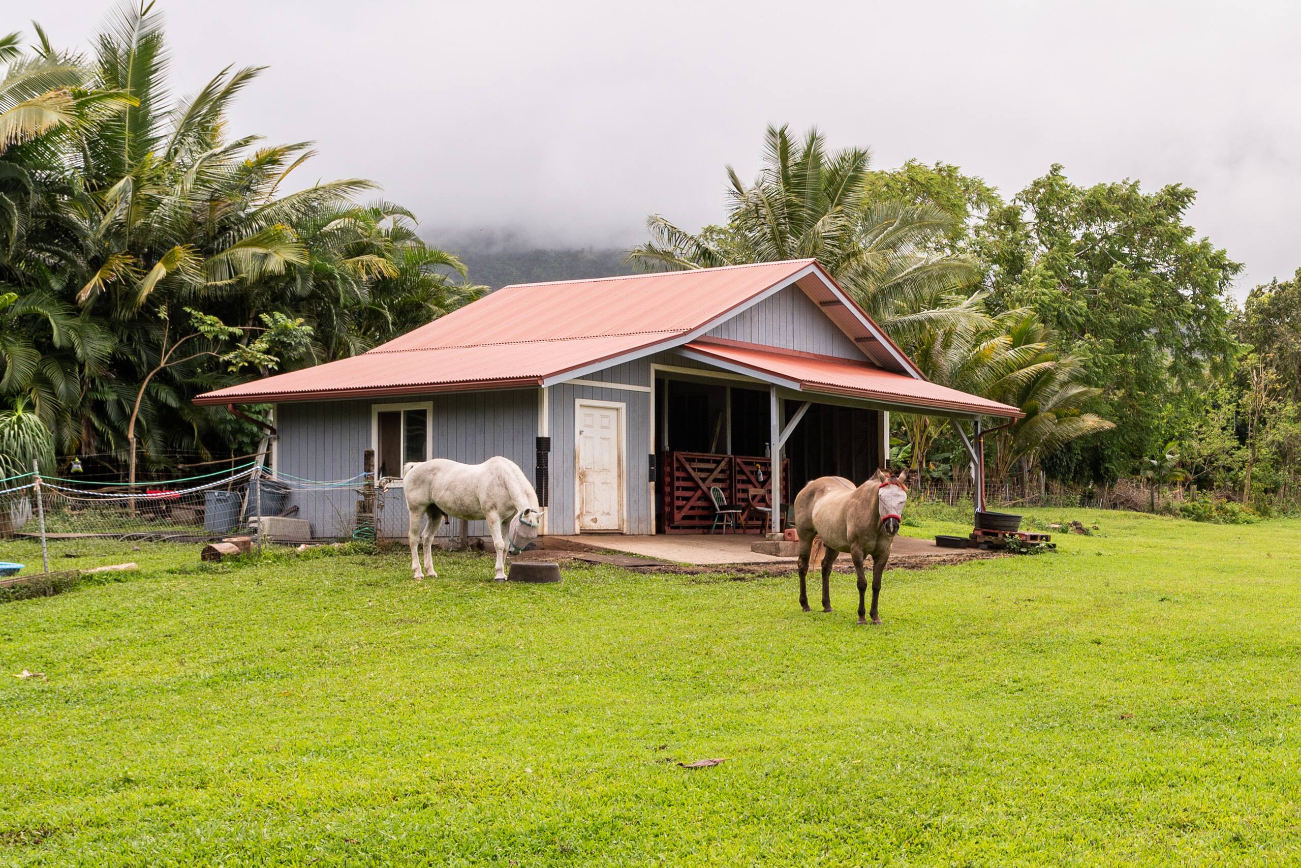 JJ’s Hāna Hale - Farm Style Cottage STHA2021/0001 - Photo 25