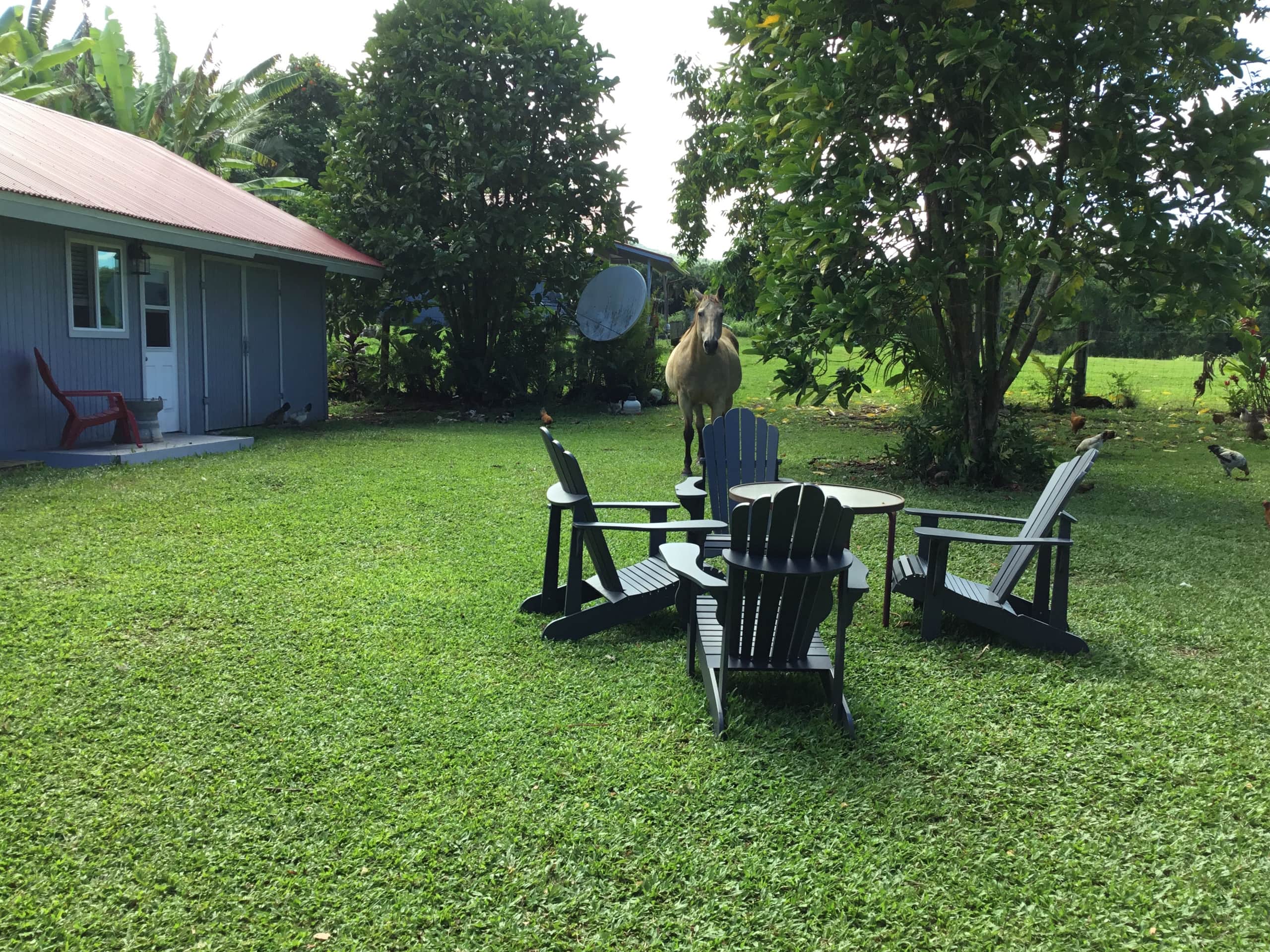 JJ’s Hāna Hale - Farm Style Cottage STHA2021/0001 - Photo 17