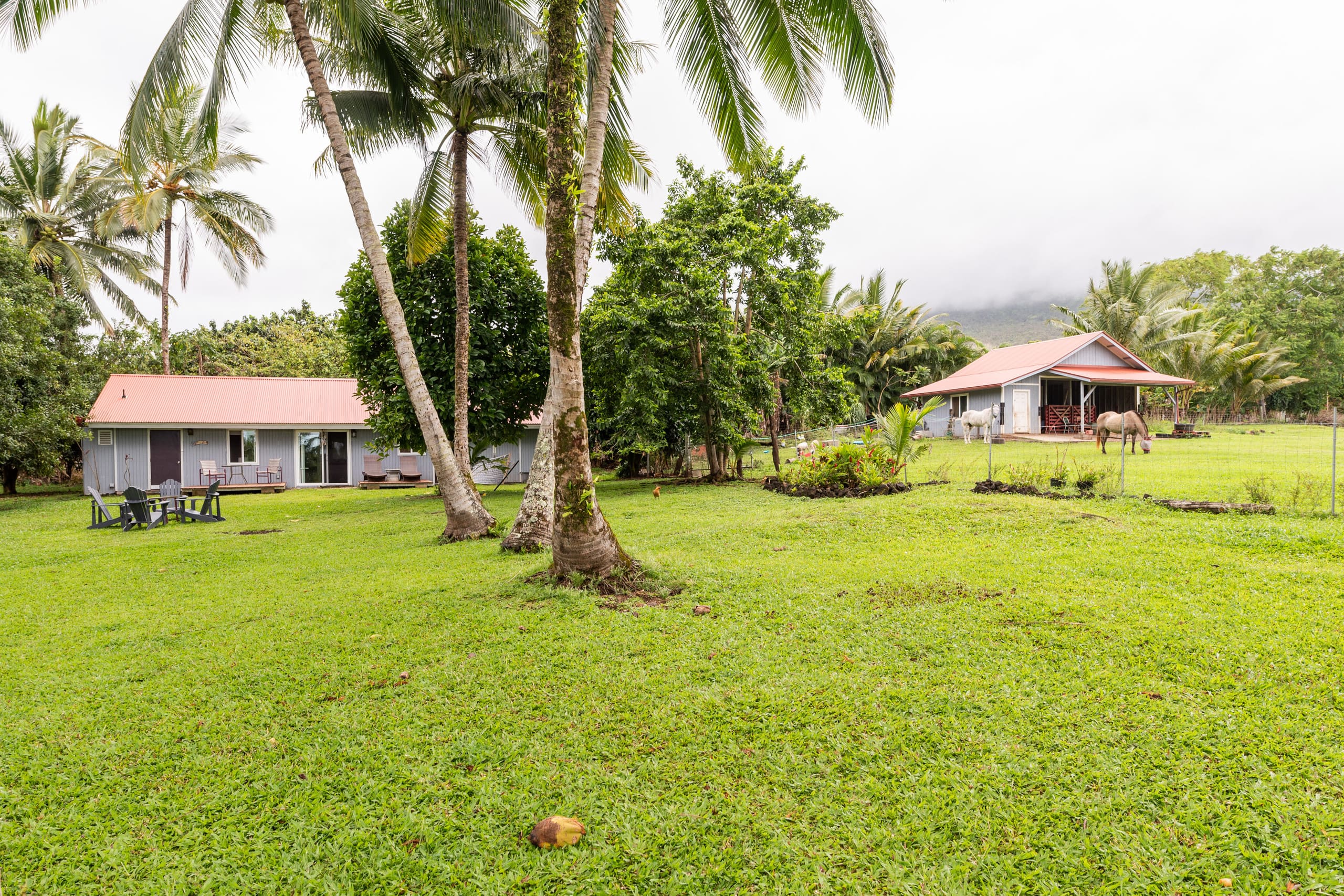 JJ’s Hāna Hale - Farm Style Cottage STHA2021/0001 - Photo 23