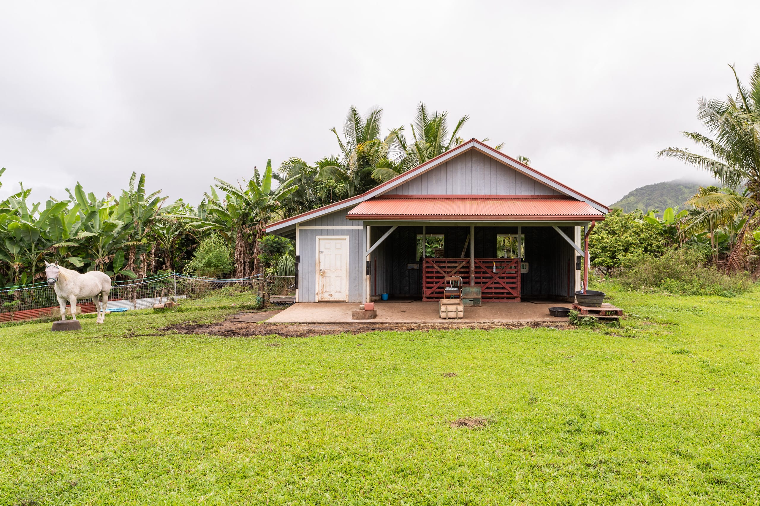 JJ’s Hāna Hale - Farm Style Cottage STHA2021/0001 - Photo 26