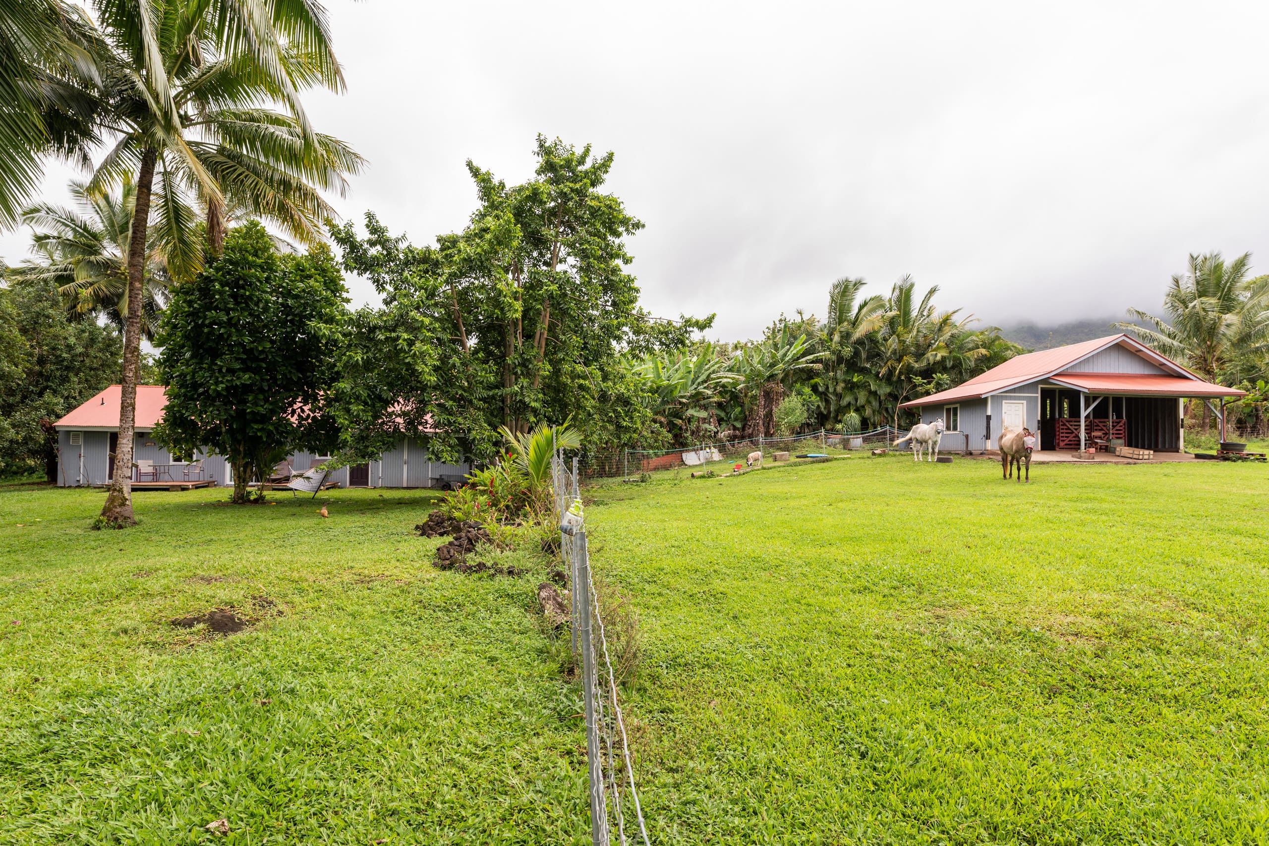 JJ’s Hāna Hale - Farm Style Cottage STHA2021/0001 - Photo 42