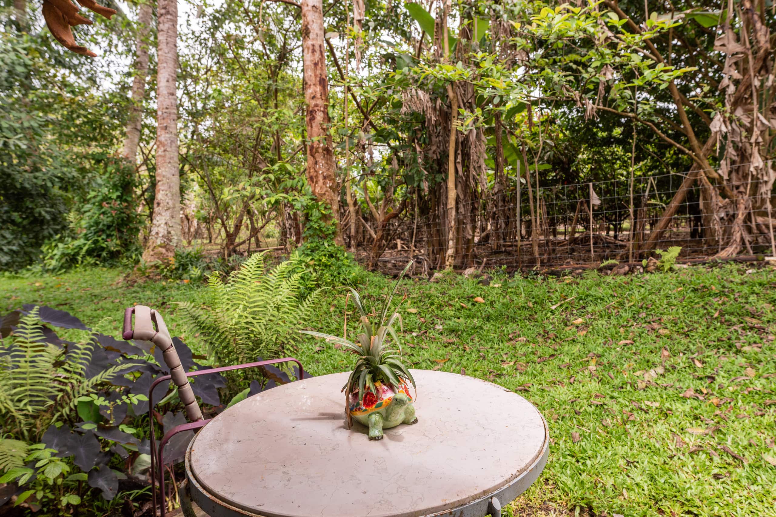 JJ’s Hāna Hale - Farm Style Cottage STHA2021/0001 - Photo 18