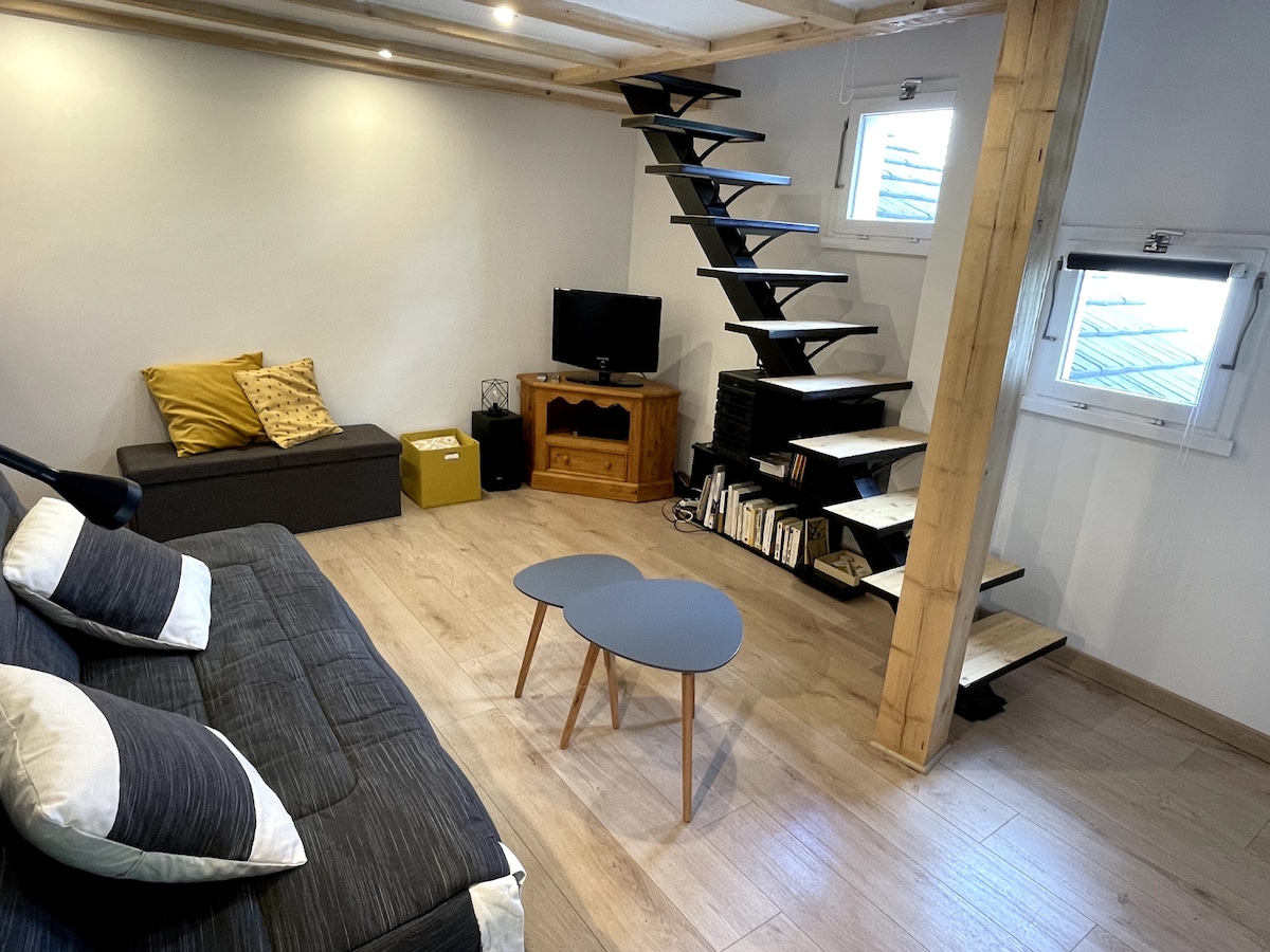 Successful Airbnb property: Beautiful triplex with beautiful view in village in Autrans Méaudre En Vercors